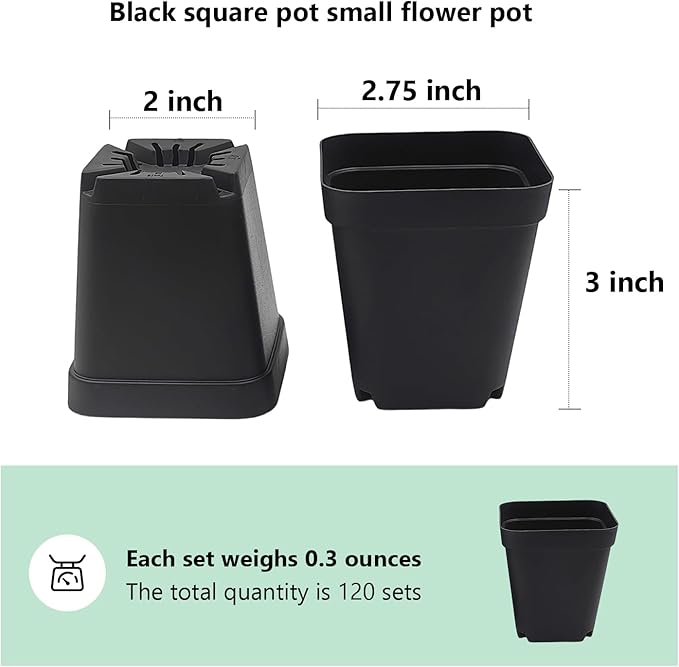 Square Nursery Pots 3" 120Pcs Deep Succulent Plastic Pots Small Flower Planter - Image 2