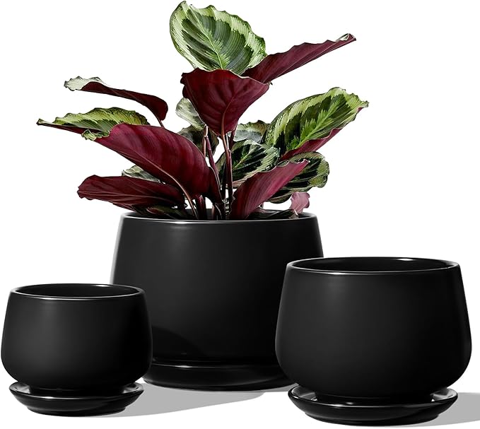 LE TAUCI Plant Pots, 4.1+5.1+6.5 inch, Ceramic Planters by LETAUCI