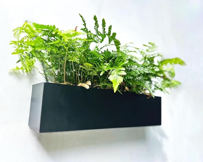 LaLaGreen Wall Planters for Outdoor Carbon Steel Black Metal Hanging Flower Pot - Image 2