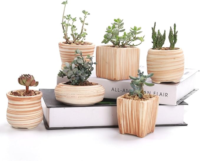 Sun-E 6 in Set 7.6 cm Ceramic Wooden Pattern Succulent Plant Pot Cactus Plant by SUN-E+SE