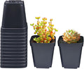 Square Nursery Pots 3.54Inches 90 Pcs Seedling Flower Post Plastic Thick Seed by RooTrimmer