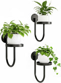 Wall Plant Holder – Hanging Planters by Unknown
