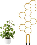 Small Trellis for Potted Plants, 14 Inch Indoor Trellis for Climbing Plants by Unknown