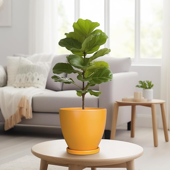 Ceramic Plant Pot - Image 4