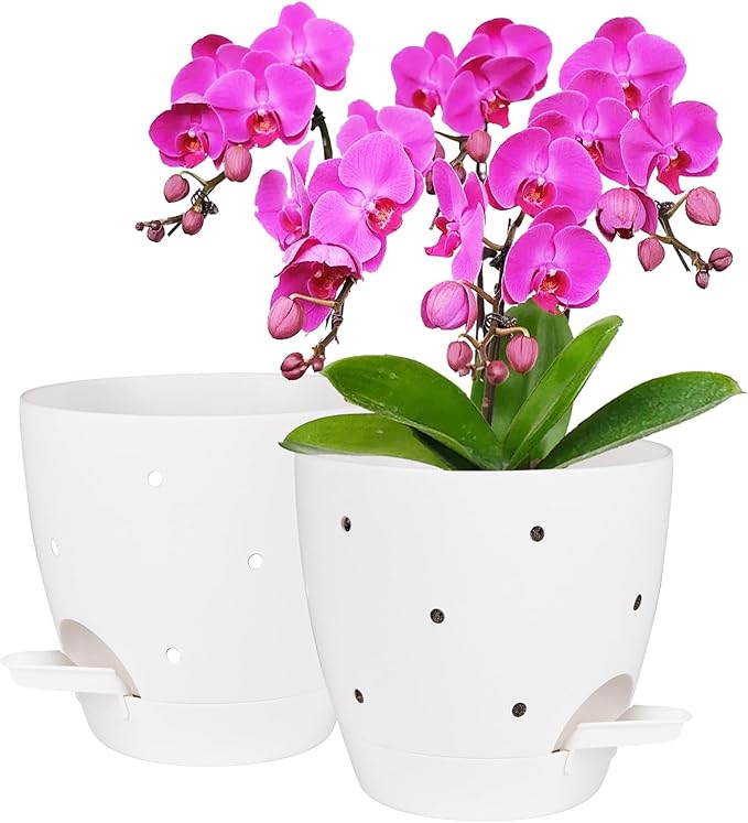 6 Inch Orchid Pots with Holes, 2 Pack Self Watering Planters by Vanslogreen