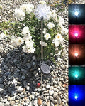 Solar Garden Stake Lights with Color Changing LED or Regular White LED by Ntertainment+House