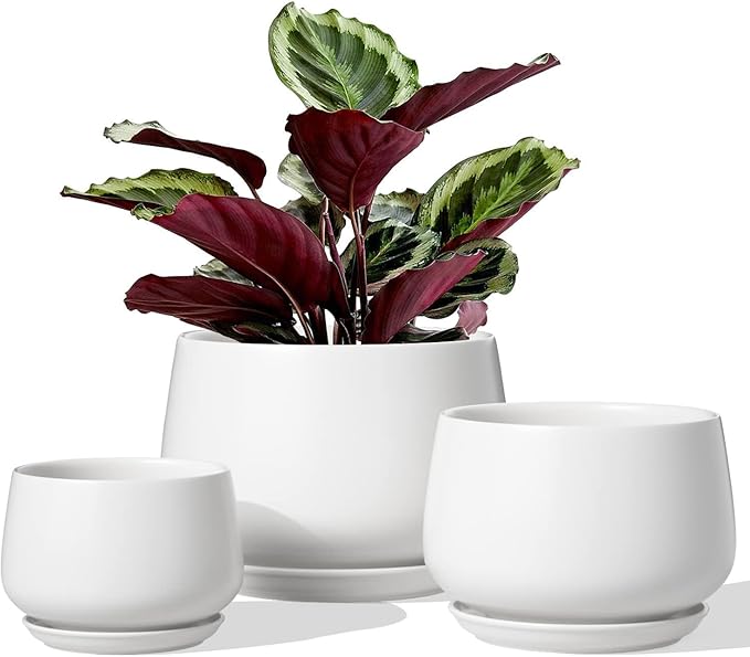 LE TAUCI Ceramic Plant Pots, 4.1+5.1+6.5 inch, Planters by LETAUCI