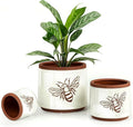 YBX Terracotta Pots Inch with Drainage Holes, Bee Decor, Ceramic Pots by YBXYIBOXUAN