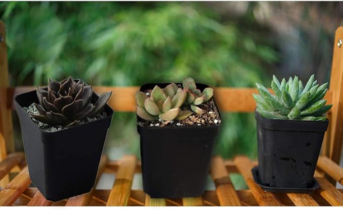 OJYUDD 24 Pack 3 Inch Black Nursery Pot Flower Pots Square Plastic Plant Pot - Image 7
