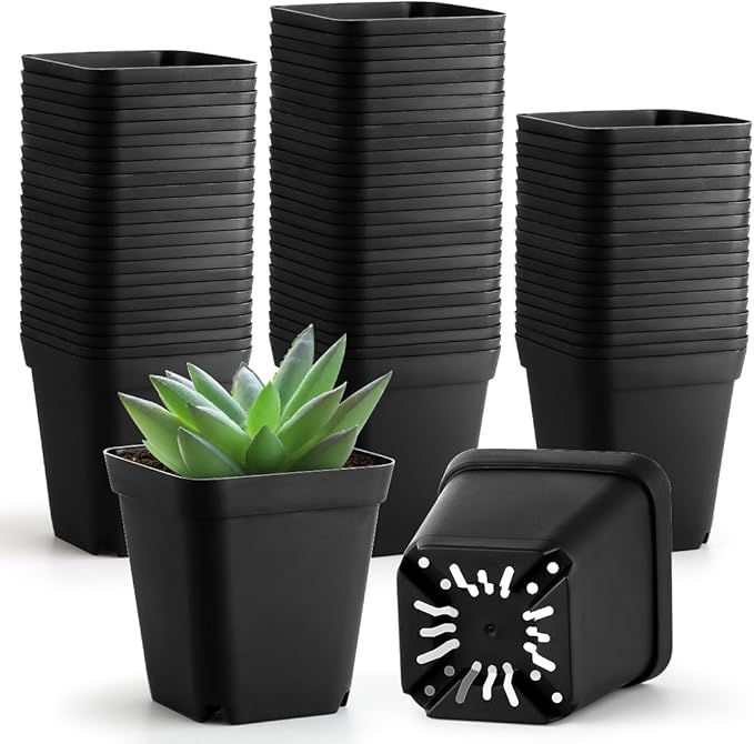 BTPLASTIK Small Plant Pots 3.5 Inch, Durable Plastic Succulents Pots by BTPLASTIK