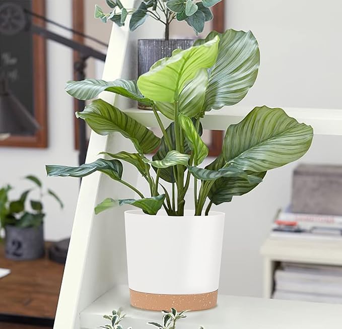 kubvici Indoor Plant Pots Planters 8 inch Plastic Planter - Image 8