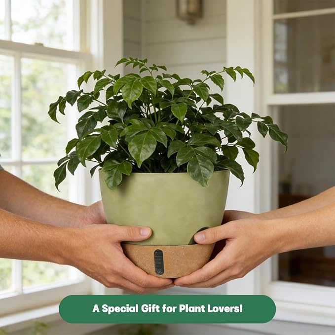 Self-Watering Hanging Planters for Indoor Plants Set 2-Piece Includes Plant - Image 7