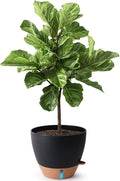 T4U 12 Inch Self Watering Pot by T4U