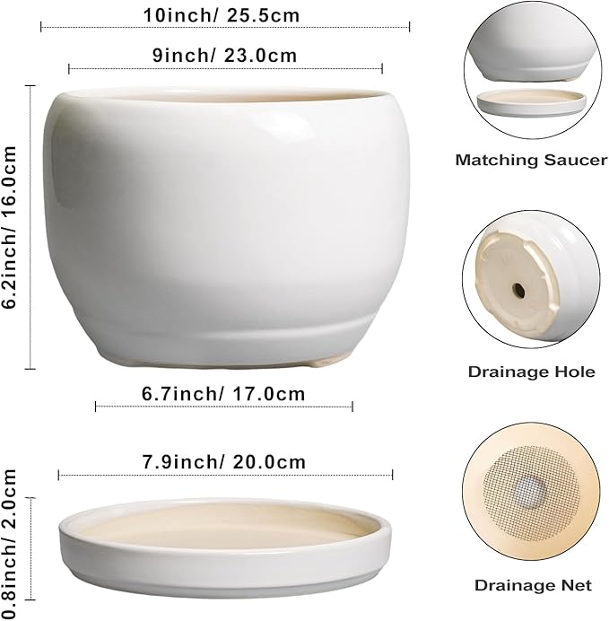 SQOWL Ceramic Pot for Plants - Image 3
