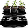 6 Inch Plastic Plant Pots 30 Pack and 6 Cell Nursery Pots Trays 5 Pack by RooTrimmer