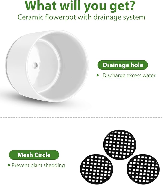 EFISPSS Plant Pots, 4+5+6 Inch Pots - Image 4