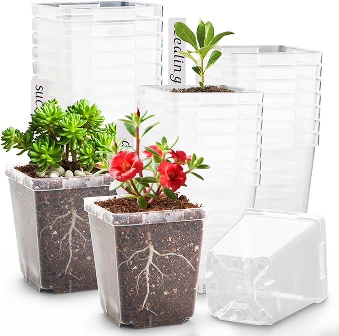 3.3 Inch Clear Nursery Pots by RooTrimmer