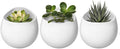 Mkono 4 Inch Wall Mounted Planter Round Ceramic Hanging Plant Holder Decorative by Mkono