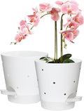 Orchid Pots with Holes, 6 Inch Self Watering Orchid Pot 2 Pack Plastic Plant by Vanslogreen