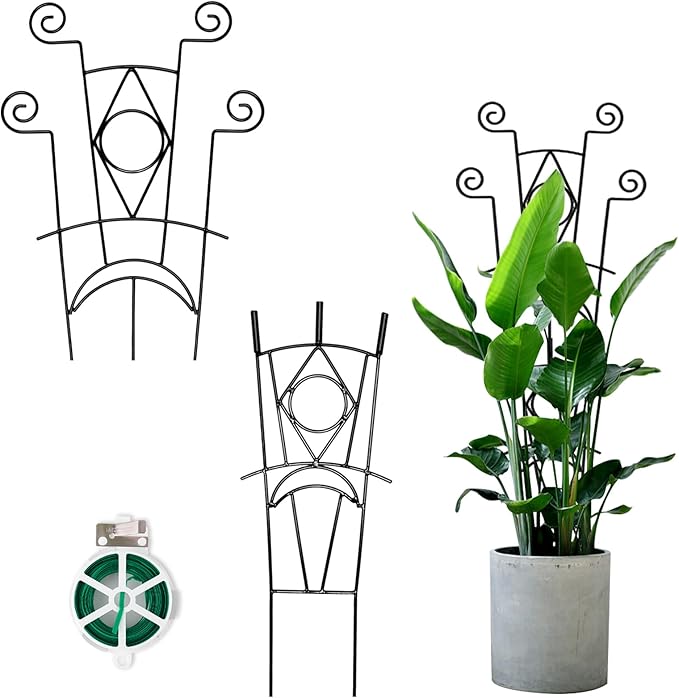 Indoor Plant Trellis for Climbing Plants 2 Pack Small Garden Metal Support for by YHTPOUQE