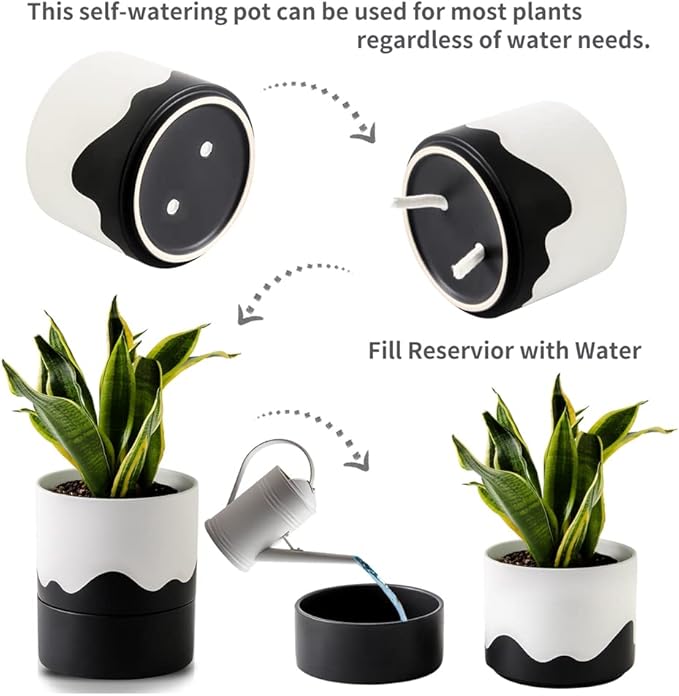 Nihow Self Watering Plant Pot: 6 Inch Ceramic Planter - Image 3