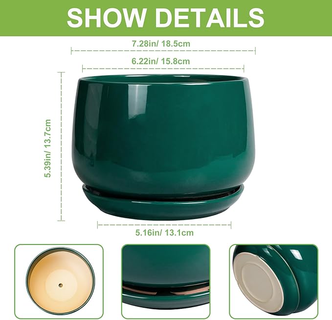 G EPGardening Ceramic Planter for Indoor Plants - Image 3