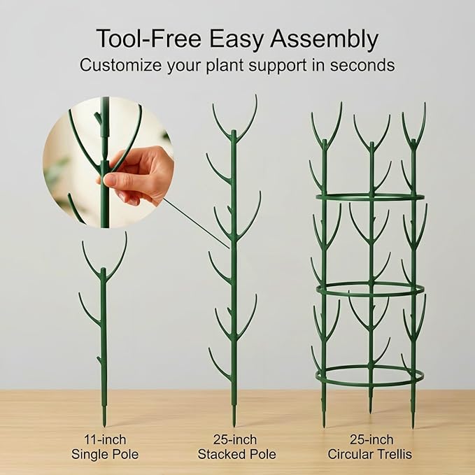 20-Pack Monstera Plant Support Stakes - Image 6