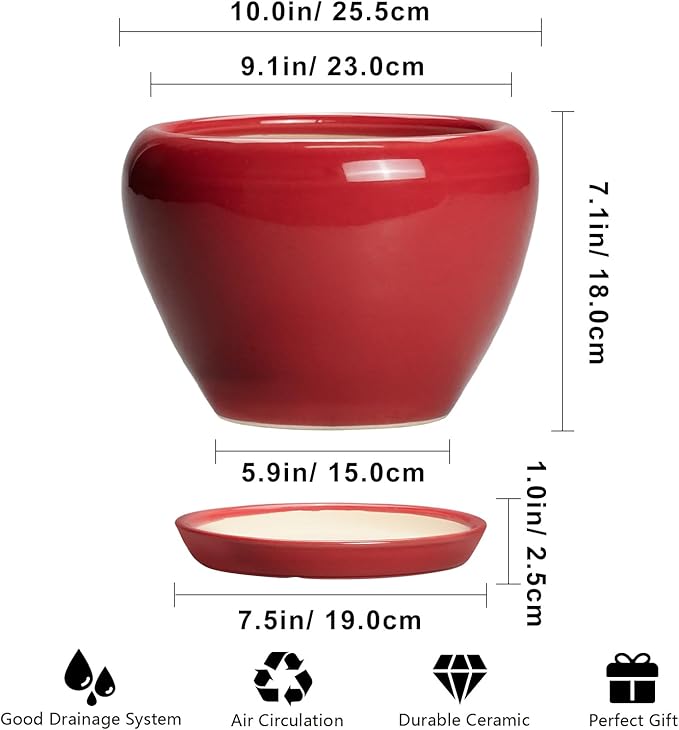 10 Inch Plant Pot - Image 3