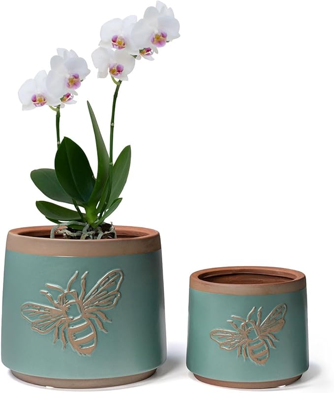 YBX Terracotta Pots with Drainage Holes, Bee Decor, Planter by YBXYIBOXUAN