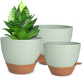Planters for Indoor Plants, 10/9/8 Inch Self Watering Plant Pots by Vanslogreen