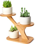 XXXFLOWER Wood Plant Stand for Indoor, Small Desktop Plant Stand, 3 Tier by XXXFLOWER
