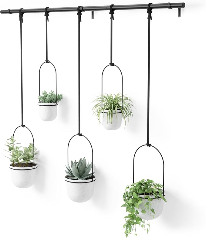 Umbra Triflora Hanging Planter for Window, Indoor Herb Garden by Umbra