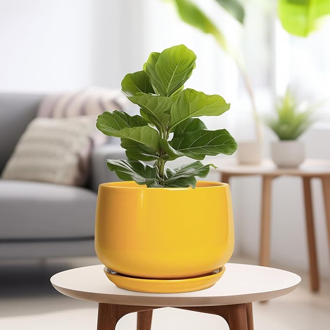 G EPGardening Ceramic Flower Pot - Image 4