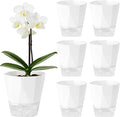 6 Pack Self Watering Plant Pots 6 Inches Self-Watering Planters by Planterhoma