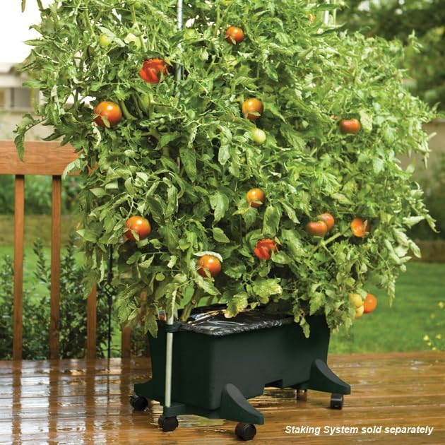 EarthBox 80151 Garden Kit - Image 8