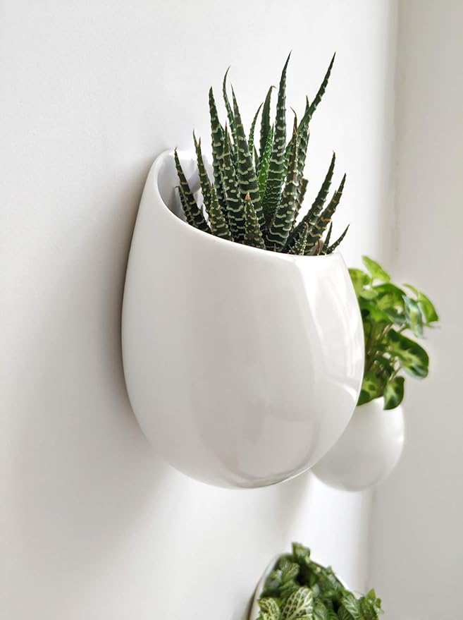 Mkono 4 Inch Wall Mounted Planter Round Ceramic Hanging Plant Holder Decorative - Image 4