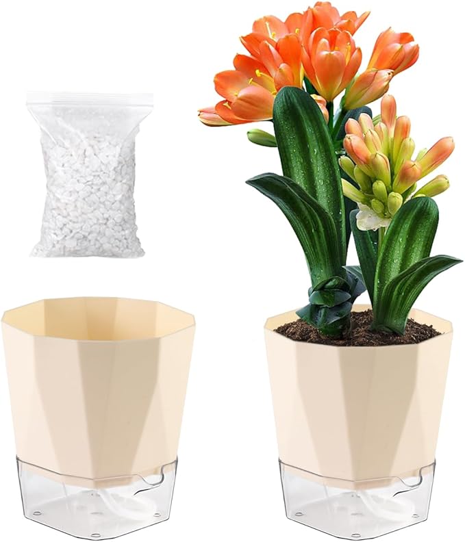 2 Pack Self Watering Pots for Indoor Plants, 8.4" Self Watering Planters Large by Planterhoma