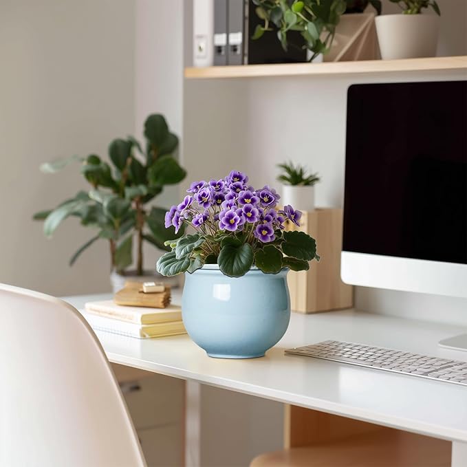 Ceramic African Violet Pots for Indoor Plants, 6 Inch Self Watering Planters - Image 3