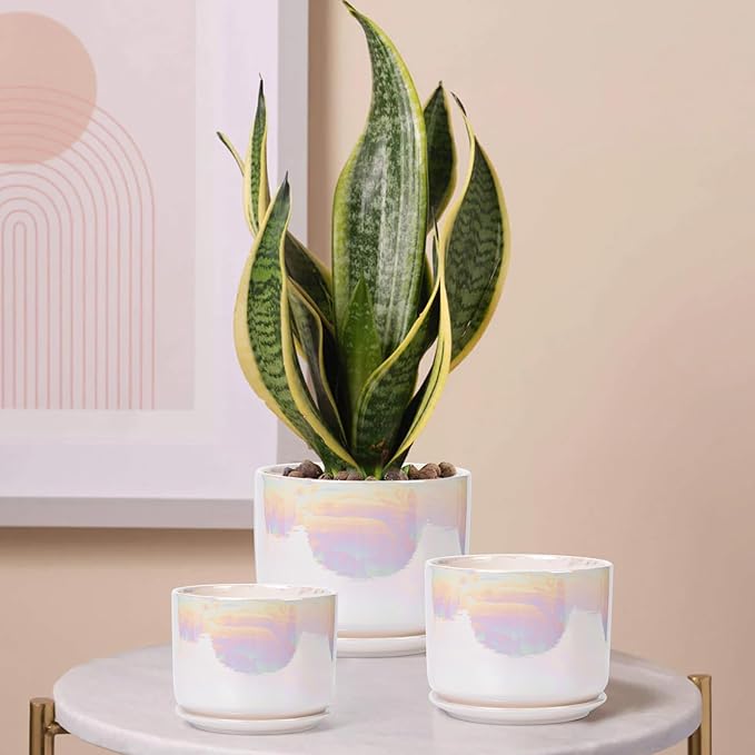 EFISPSS Plant Pots, 4+5+6 Inch Pots - Image 6