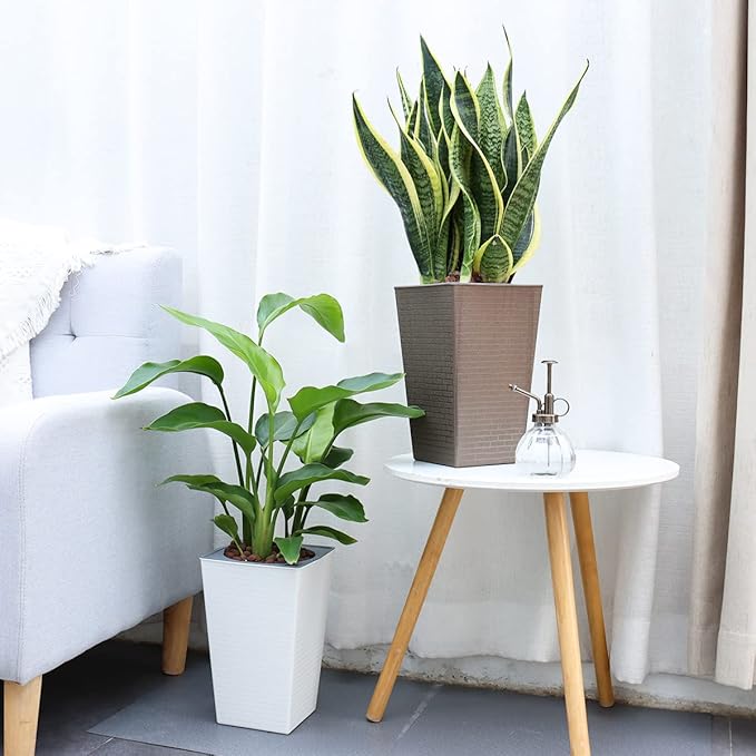2 Pack Self Watering Planters 10.7" x 6.9" Planter - Image 6
