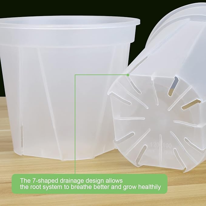 GREENPARA Transparent Plastic Garden Pots Planter - Image 6