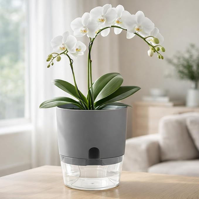 Planterhoma 5 Pack Self Watering Pots - Image 2