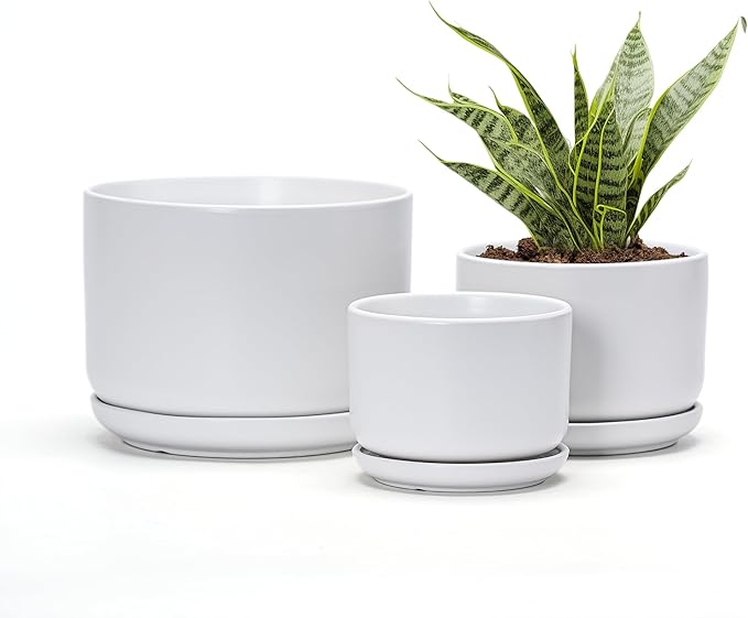 Ton Sin Plant Pots, 4.1+5.1+6.5 inch, Ceramic Planters by TonSin