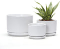 Ton Sin Plant Pots, 4.1+5.1+6.5 inch, Ceramic Planters by TonSin