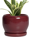 SQOWL 6 Inch Plant Pot by SQOWL