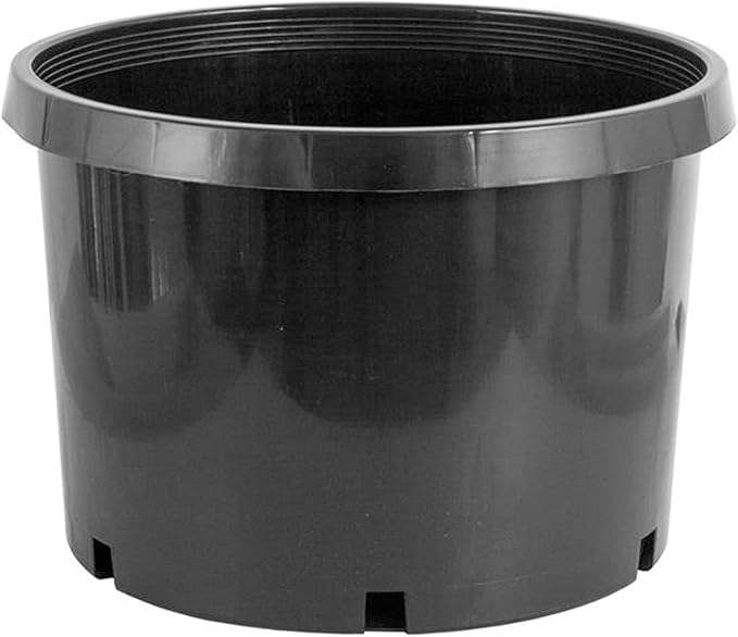 Pro Cal 10 Gallon Premium Nursery Plastic Planter Flower Herb Vegetable Garden by Hydrofarm