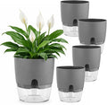 Planterhoma 5 Pack Self Watering Pots by Planterhoma