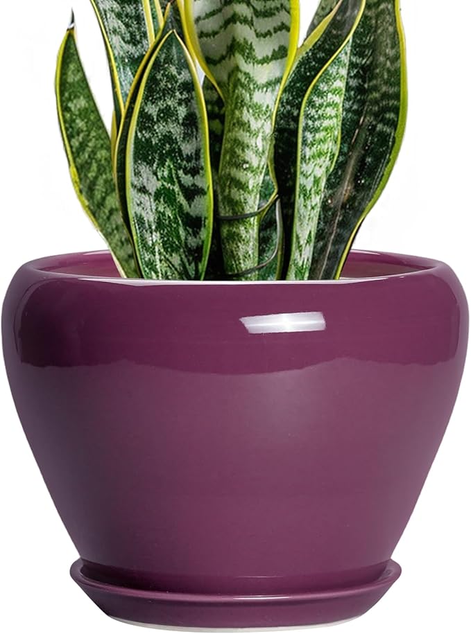 Ceramic Planter by Ceramicfor