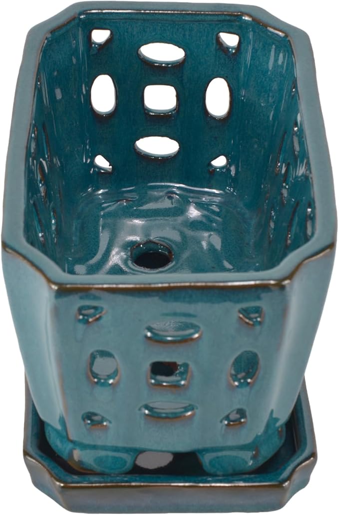 W&W Orchid Pot with Holes and Saucer - Image 3