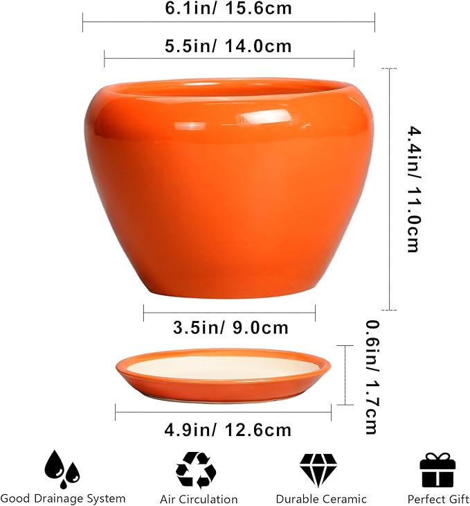 Ceramic Plant Pot 6 Inch - Image 3